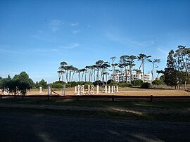 Centro Hípico in Parque Carrasco