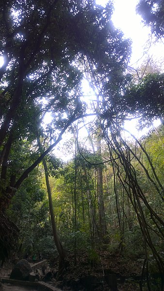 File:Parque Nacional Waraira Repano, Venezuela.jpg