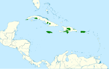 Patagioenas inornata map.svg