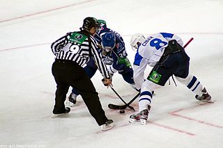 <span class="mw-page-title-main">Martin Cibák</span> Slovak ice hockey player (born 1980)