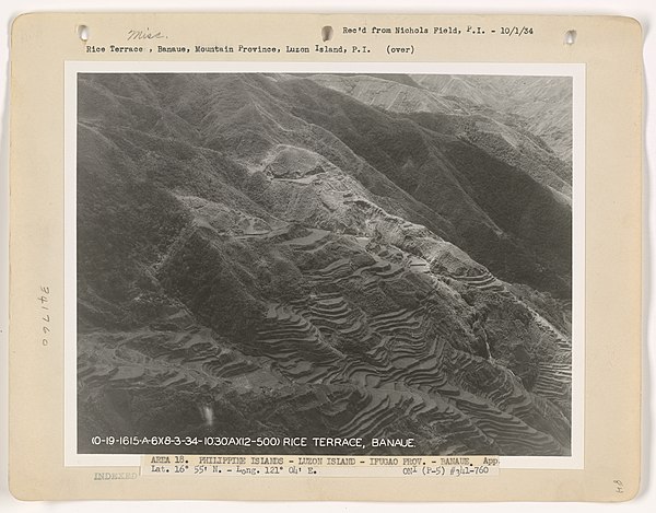 Aerial view of Banaue Rice Terraces, circa 1930s