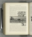 Ploughing in the plains of Philistia, in the neighborhood of Tell es Sâfy. Ploughing and sowing for winter crops extends from the end of November to the middle of January or later (NYPL b10607452-80668).tiff
