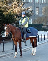 A police horse wearing a quarter sheet Policja konna Poznan.jpg