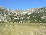 Català: Tossa Plana de Lles-Puigpedrós (Cerdanya, Alt Urgell) (Lles de Cerdanya, les Valls de Valira, Meranges i altres). Fotos preses en una excursió del refugi de Malniu als estanys de Malniu i Mal. This is a a photo of a natural area in Catalonia, Spain, with id: ES510205 Object location 42° 27′ 00″ N, 1° 42′ 00″ E  View all coordinates using: OpenStreetMap Camera location 42° 28′ 33.93″ N, 1° 47′ 36.72″ E    View all coordinates using: OpenStreetMap