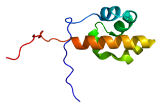 CENTD1 protein-coding gene in the species Homo sapiens