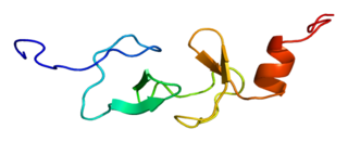 <span class="mw-page-title-main">CRIP2</span> Protein-coding gene in the species Homo sapiens