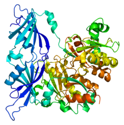 Proteini DCPS PDB 1st0.png