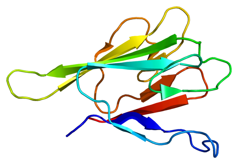 File:Protein KIF1C PDB 2g1l.png