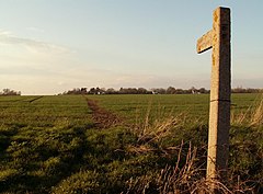 Общественная пешеходная дорожка к Housham Tye от New Way Lane - geograph.org.uk - 768792.jpg