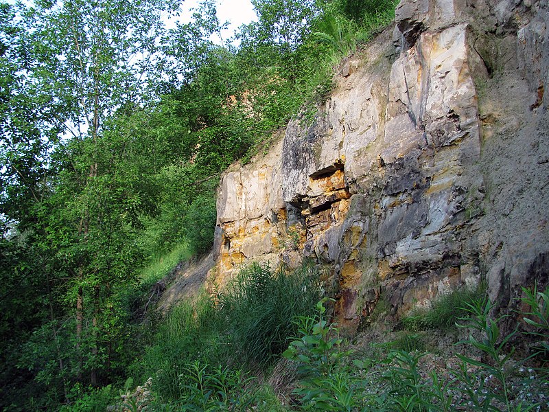 File:Purtse Hiiemäe cliff, 2011-06.jpg