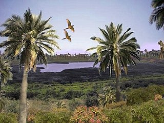 Digital recreation of its ancient landscape, with tropical forest and palm trees