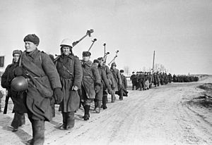 Радянські бійці винищувального протитанкового батальйону на марші до Вязьми після боїв за Ржев. Ржевська битва