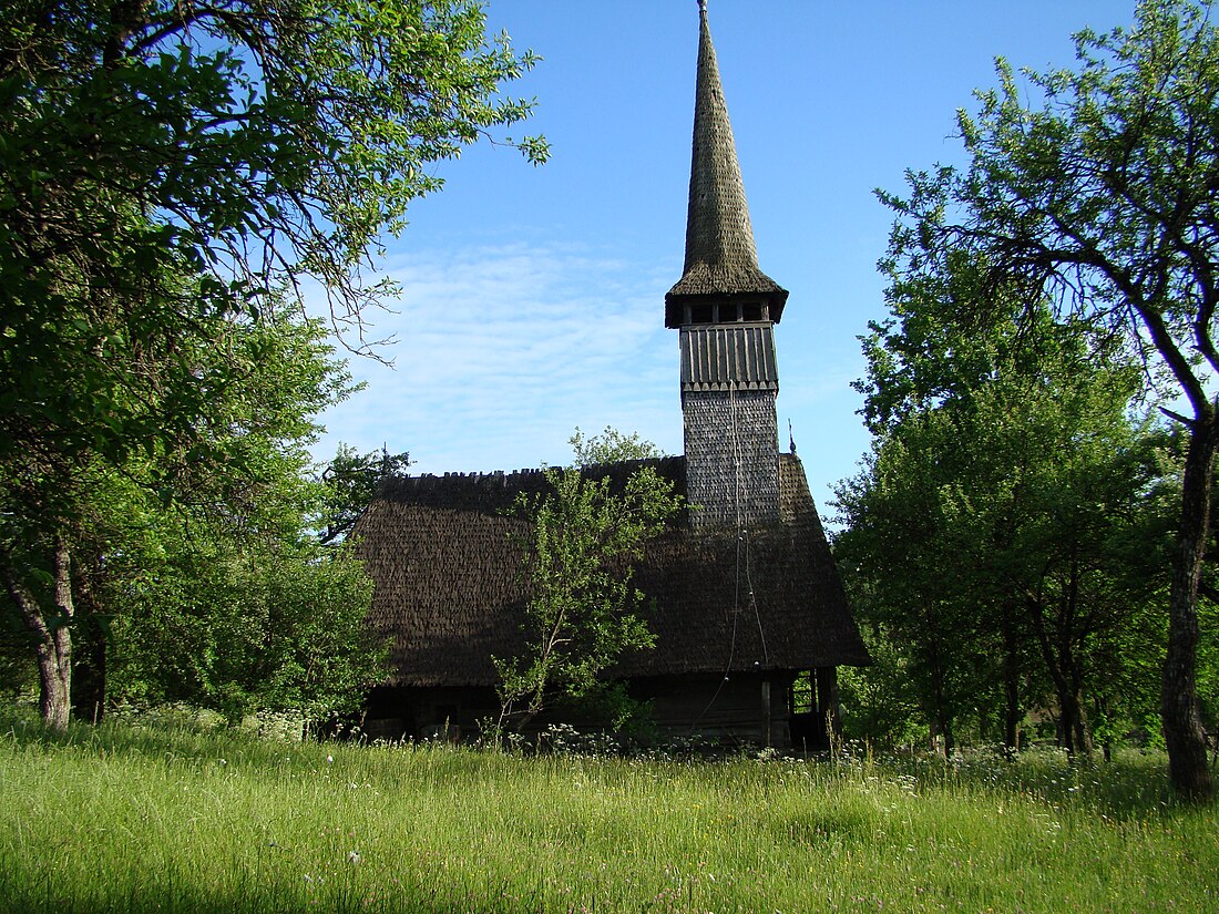 Frâncenii Boiului, Maramureș