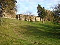 Ruinele fortificației Cetatea Stolzenburg
