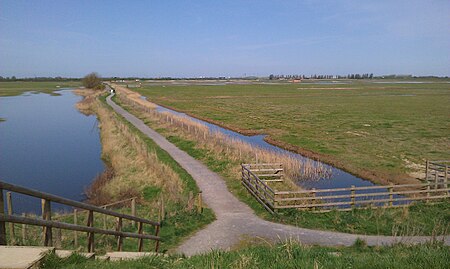 RSPB Frampton Marsh