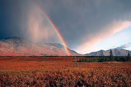 Rainbow in the Denali National Park in 1998