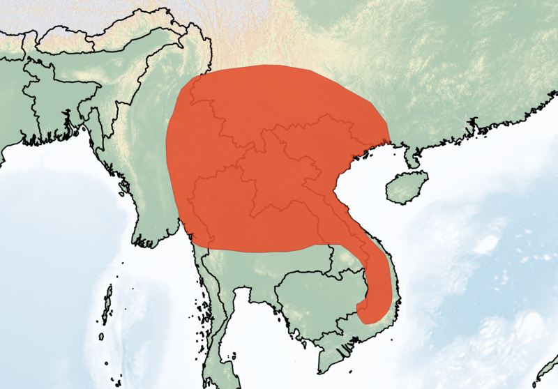 File:Range Murina feae.png