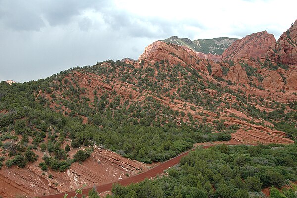 Redbeds including the Kayenta Formation and the Navajo Sandstone in Kolob Canyons, Zion National Park, Utah, USA