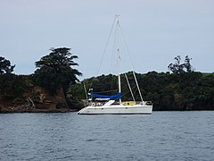 Reef Dragon at moorings at Leigh, NZ PA252525.JPG