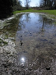 Reflet du Soleil : l'ensemble de la scène est convenablement exposé et les petits reflets spéculaires « passent » très bien !