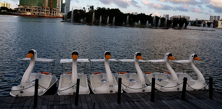 Riding on the lake