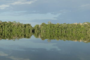 Rio Içana espelhado.JPG