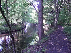 The River Don flowing through Beeley Wood. River Don in Beeley Wood.jpg