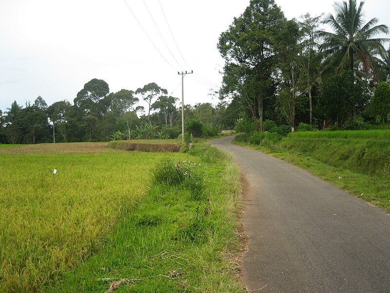 File:Road To Manggi - panoramio.jpg