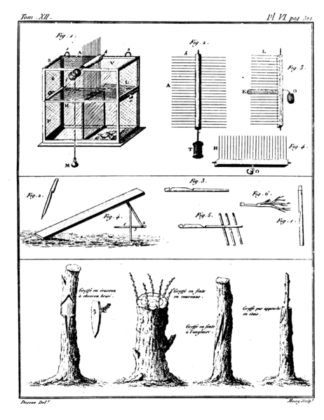 File:Rozier - Cours d’agriculture, tome 12, pl. 6.png