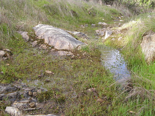 Surface runoff from a hillside after soil is saturated