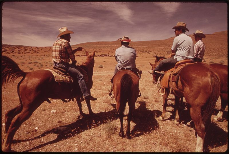 File:SPRING ROUNDUP AT PAIUTE-OWNED CATTLE BEGINS AT SUTCLIFFE PYRAMID LAKE INDIAN RESERVATION, CORALLING AND BRANDING IS... - NARA - 553103.jpg