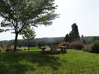 Table de pique-nique et espace vert.