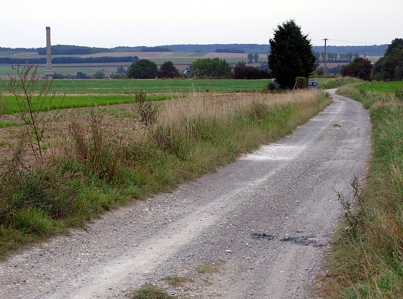 File:Saint-Ouen Chaussée Brunehaut (descente).jpg