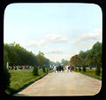 Русский: Saint Petersburg. Peterhof Palace Park view of crowded city park