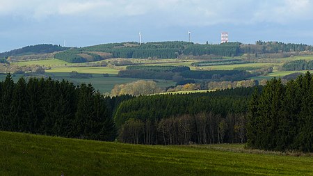 Salzburger Kopf 5