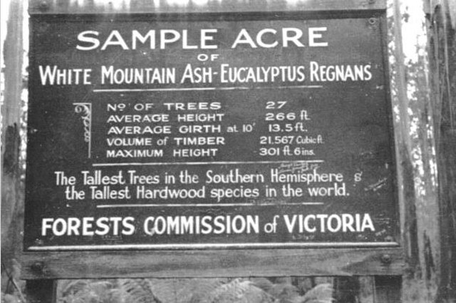 The "Sample Acre" sign at the Cumberland Reserve near Marysville. The tallest tree was at 301.5 feet. Representative samples of forest were set aside 