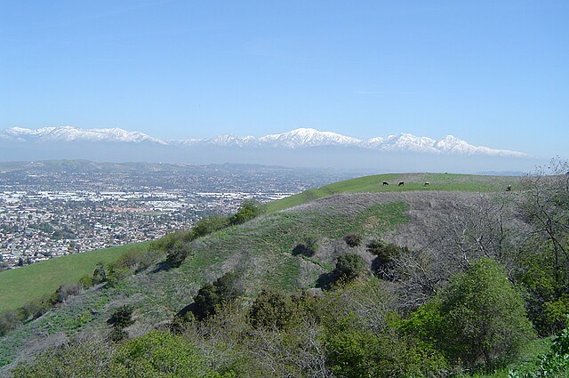 Looking north from the Puente Hills above Rowland Heights