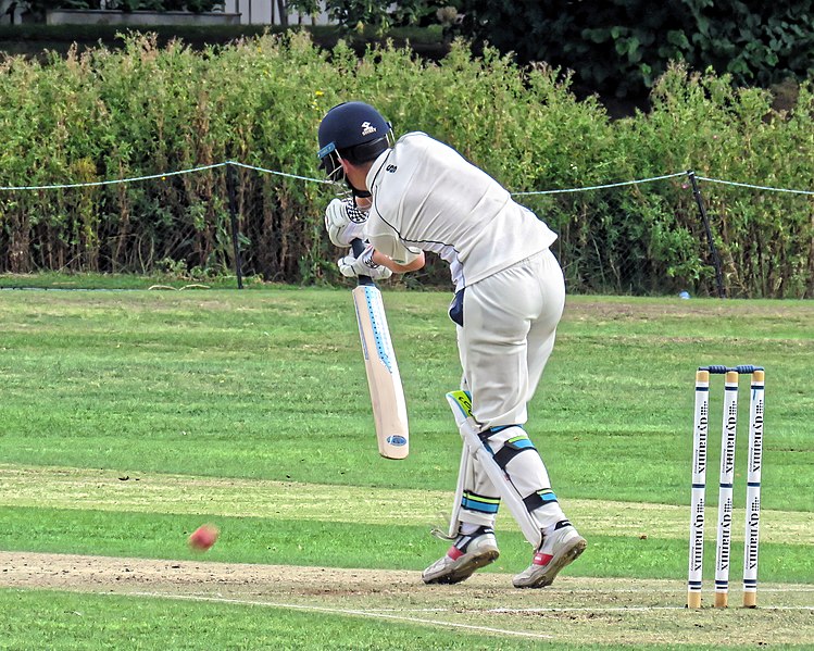 File:Sandwich Town CC v. MCC at Sandwich, Kent, England 178.jpg