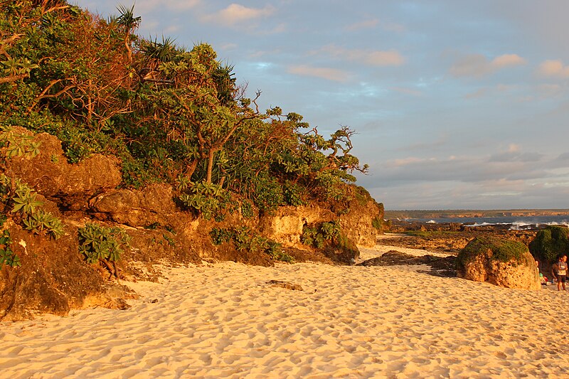 File:Sandy beach in southern Tongatapu.jpg