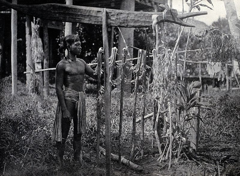 File:Sarawak; a tribesman placing offerings to the omen-birds on Wellcome V0037466.jpg