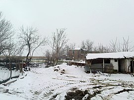 Sazlıca in the snow