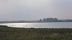 Schwansener See im Naturschutzgebiet an der Ostsee.JPG