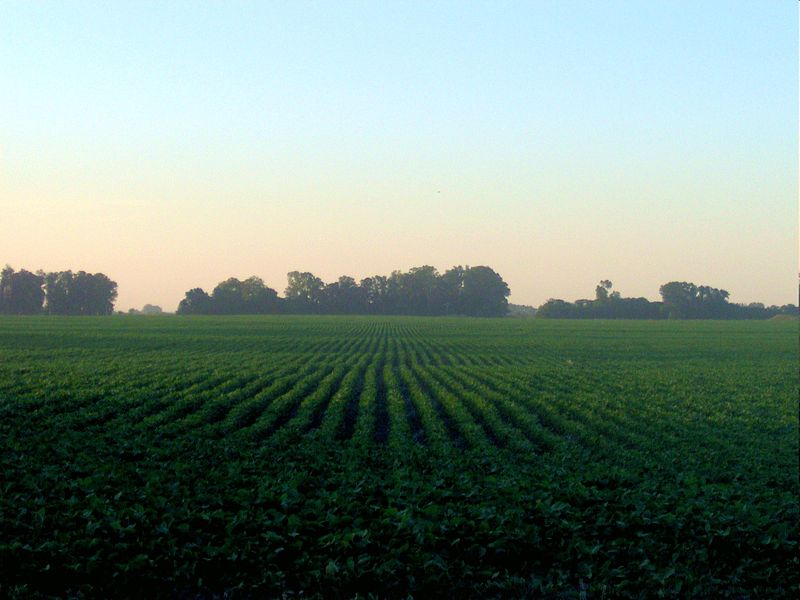 File:Sembrado de soja en argentina.jpg