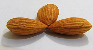 Shelled Almonds