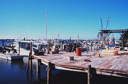 The Central Florida Seafood Industry is shown here with a photograph of shrimp, snapper, grouper, and stone crab fishing boats at Cortez, Florida