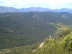 "Las Navas" Solana del Pino surrounding, partial view on the road