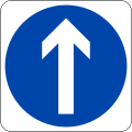 Ahead only (Turning left and right is prohibited)
