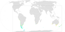 Southern Giant-Petrel Range.png