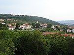 Spodnje Škofije