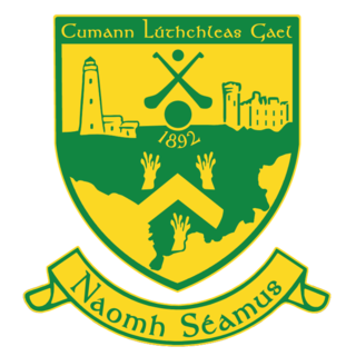 <span class="mw-page-title-main">St James' GAA (Cork)</span>